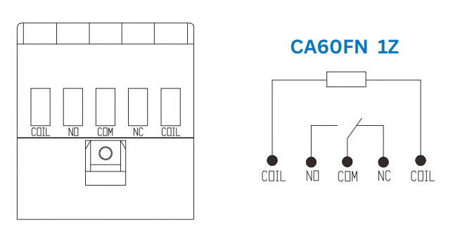 1Z Model